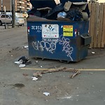 Overflowing Garbage Cans at 8705 156 Street NW