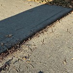 Sidewalk Concern at 251 Rhatigan Road East NW