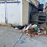 Overflowing Garbage Cans at 10863 97 Street NW