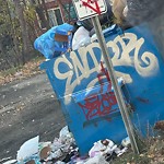 Overflowing Garbage Cans at 9820 104 Street NW