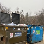 Overflowing Garbage Cans at 9303 98 Street NW