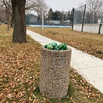 Overflowing Garbage Cans at 5802 108 Street NW