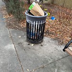 Overflowing Garbage Cans at 5227 111 A Street NW