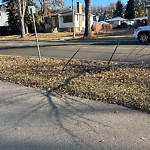 Shared Use Path - Walk/Bike/Run/Scoot/Blade at 8630 Rowland Road NW