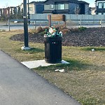 Overflowing Garbage Cans at 1707 182 Street SW