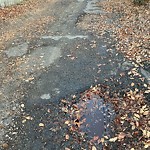 Potholes at 14607 85 Avenue NW