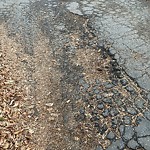 Potholes at 14603 85 Avenue NW