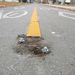 Shared Use Path - Walk/Bike/Run/Scoot/Blade at 11003 82 Avenue NW