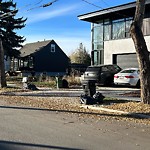 Overflowing Garbage Cans at 5819 110 Street NW