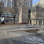 Tree/Branch Damage - Public Property at 1 Hull St, Edmonton T5 J 0 R2