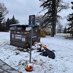 Overflowing Garbage Cans at 6750 88 Street NW