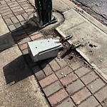 Other - Vandalism/Damage at 10560 82 Avenue NW