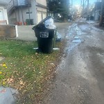 Overflowing Garbage Cans at 11039 81 Avenue NW