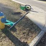 Traffic Sign at 15003 Rio Terrace Drive NW