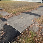 Sidewalk Concern at 10242 82 Street NW