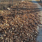 Park Grass Maintenance at 12023 81 Street NW