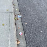 Litter Public Property at 20509 98 A Avenue NW