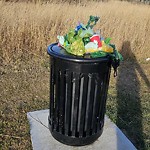 Overflowing Garbage Cans at 1707 182 Street SW