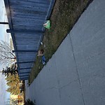 Litter Public Property at 5103 164 Ave Nw, Edmonton T5 Y 0 H5