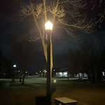 Streetlight Maintenance at 96 Wilkin Road NW