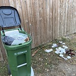 Overflowing Garbage Cans at 11205 95 Street NW