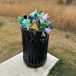 Overflowing Garbage Cans at 1707 182 Street SW