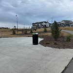 Overflowing Garbage Cans at 2750 Sir Arthur Currie Way NW