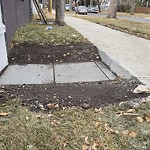 Sidewalk Concern at 10630 95 Street NW