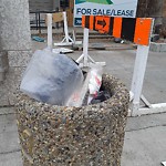 Overflowing Garbage Cans at 10179 108 Street NW