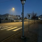 Streetlight Maintenance at 16235 59 A Street NW