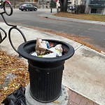 Overflowing Garbage Cans at 8610 99 Street NW