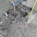 Overflowing Garbage Cans at 82 Street & 118 Avenue, Edmonton, Ab T5 B 0 S3, Canada