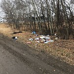 Litter Public Property at 12433 49 Street NW