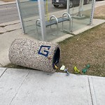 Overflowing Garbage Cans at 17535 81 Avenue NW