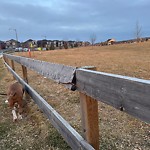 Structure/Playground Maintenance at 103 Ebbers Boulevard NW