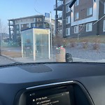 Overflowing Garbage Cans at 2701 Maple Way NW