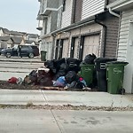 Overflowing Garbage Cans at 1224 Aster Boulevard NW