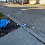 Sidewalk Concern at 3227 28 A Avenue NW