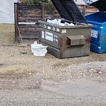 Overflowing Garbage Cans at 1415 Lakewood Road West NW