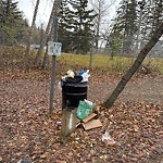 Overflowing Garbage Cans at 9100 Walterdale Hill NW