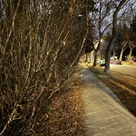 Obstruction - Public Road/Walkway at 11051 80 Avenue NW