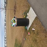 Overflowing Garbage Cans at Joey Moss Public School (K 7)