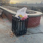 Overflowing Garbage Cans at 11603 100 Avenue NW