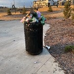 Overflowing Garbage Cans at 2861 Sir Arthur Currie Way NW