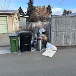 Overflowing Garbage Cans at 7216 78 Avenue NW