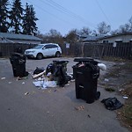 Overflowing Garbage Cans at 12220 86 Street NW