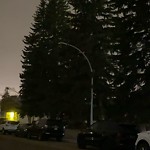 Streetlight Maintenance at 6903 97 Avenue NW