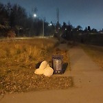 Overflowing Garbage Cans at N53.54 E113.47