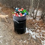 Overflowing Garbage Cans at 10 Rabbit Hill Road NW