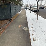 Sidewalk Concern at 8403 164 Avenue NW